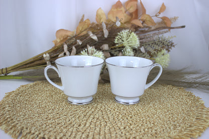 Royal Worcester Fine Porcelain Platinum Trim Tea Set