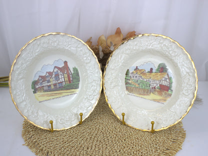 Vintage 1950s Alfred Meakin Souvenir Plates - Shakespeare's Birthplace & Anne Hathaway's Cottage, Stratford-upon-Avon